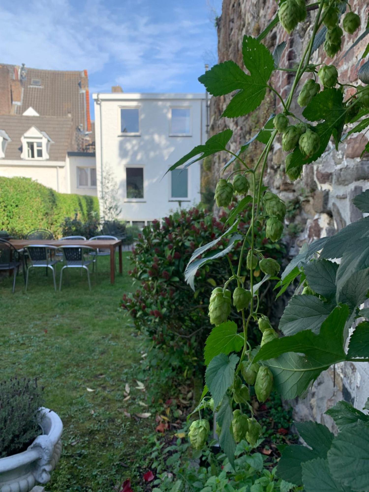De Stadswal Μάαστριχτ Εξωτερικό φωτογραφία